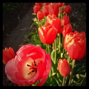 Check out my closet!